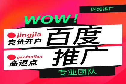 竞价广告投放的秘诀：某企业与竞价推广公司的合作成果